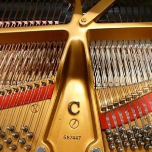 Young Chang G-213 Flügel